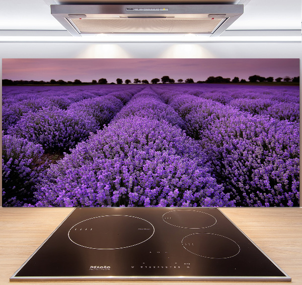 Achterwand keuken Lavendelveld
