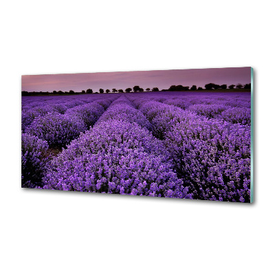 Achterwand keuken Lavendelveld