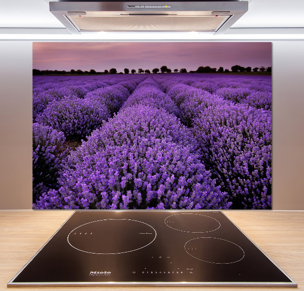 Achterwand keuken Lavendelveld