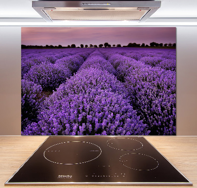 Achterwand keuken Lavendelveld