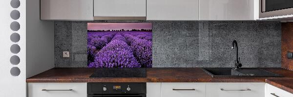 Achterwand keuken Lavendelveld