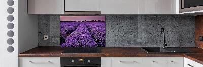 Achterwand keuken Lavendelveld