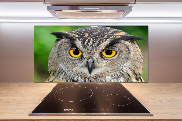 Keuken achterwand Uil