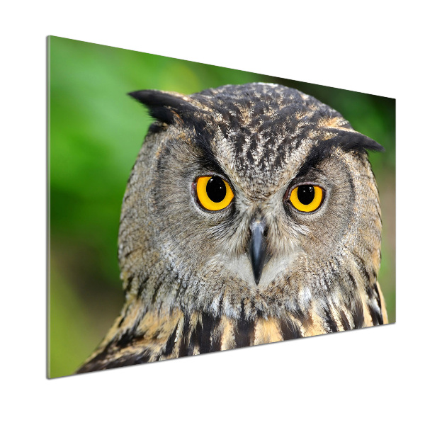 Keuken achterwand Uil