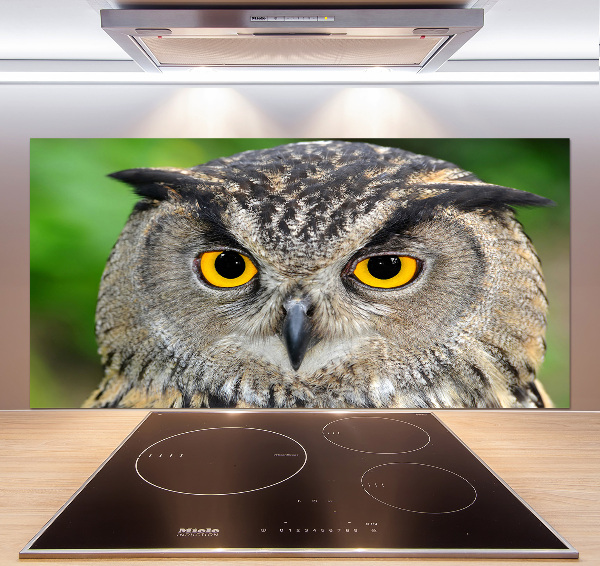 Keuken achterwand Uil