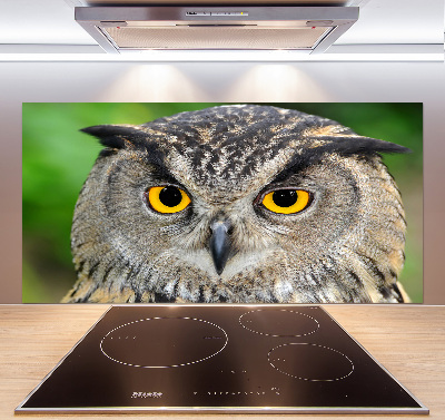 Keuken achterwand Uil