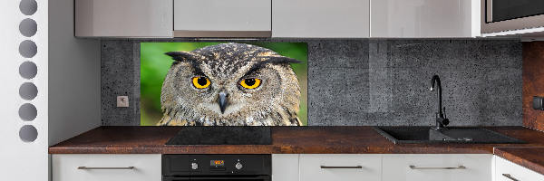 Keuken achterwand Uil