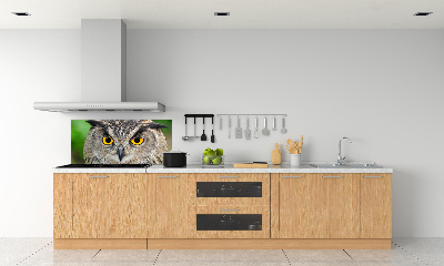 Keuken achterwand Uil