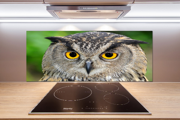 Keuken achterwand Uil
