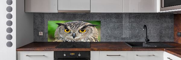 Keuken achterwand Uil