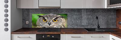 Keuken achterwand Uil