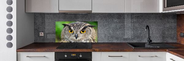Keuken achterwand Uil