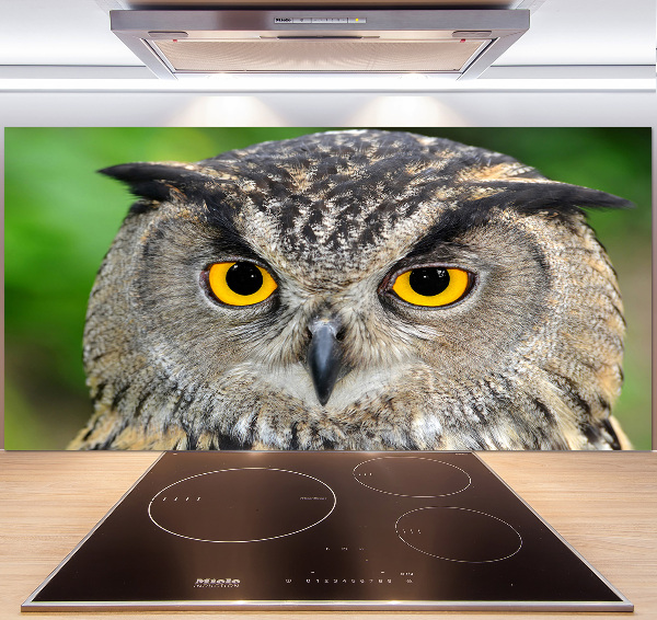 Keuken achterwand Uil