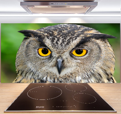Keuken achterwand Uil
