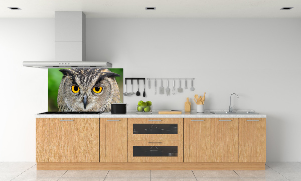 Keuken achterwand Uil