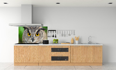 Keuken achterwand Uil