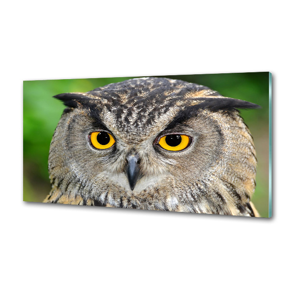 Keuken achterwand Uil