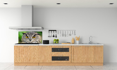 Keuken achterwand Uil