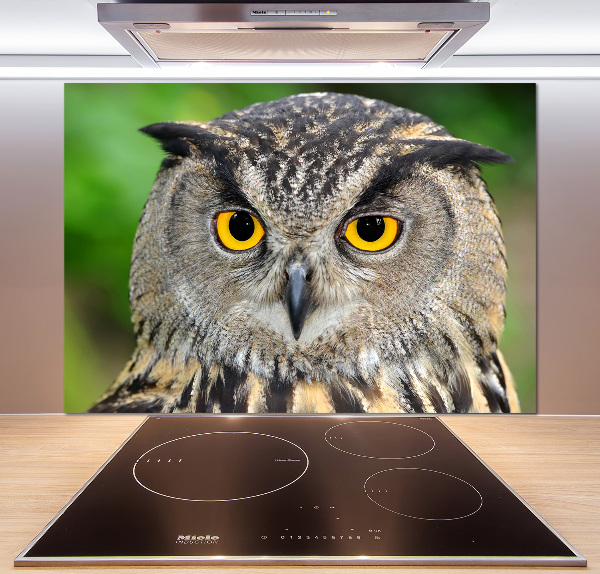 Keuken achterwand Uil