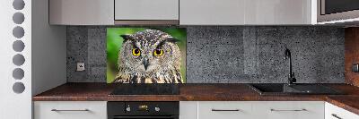 Keuken achterwand Uil