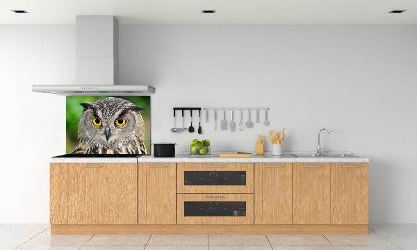 Keuken achterwand Uil