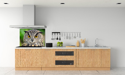 Keuken achterwand Uil