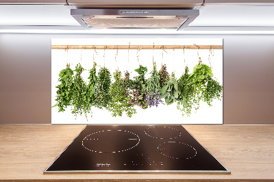 Spatscherm keuken Kruiden aan een touwtje
