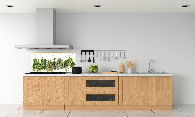 Spatscherm keuken Kruiden aan een touwtje