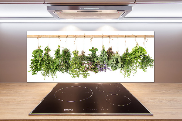 Spatscherm keuken Kruiden aan een touwtje