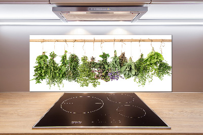 Spatscherm keuken Kruiden aan een touwtje