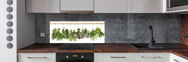 Spatscherm keuken Kruiden aan een touwtje