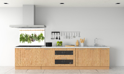 Spatscherm keuken Kruiden aan een touwtje