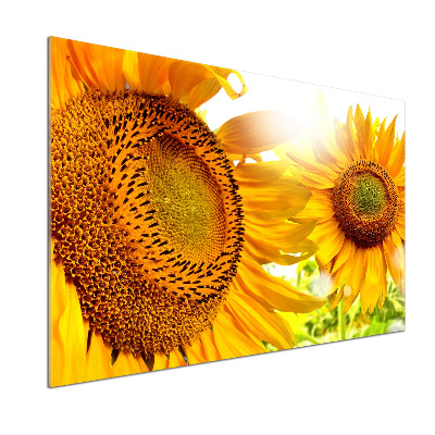 Spatscherm keuken Zonnebloemen
