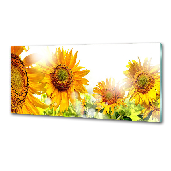 Spatscherm keuken Zonnebloemen