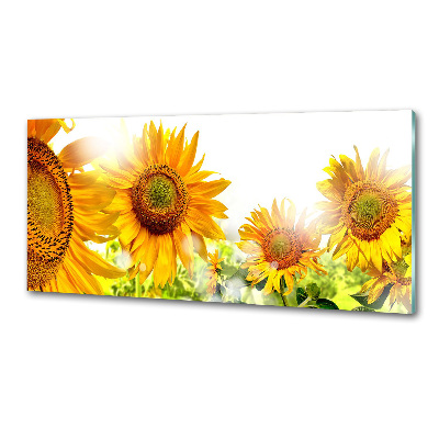 Spatscherm keuken Zonnebloemen