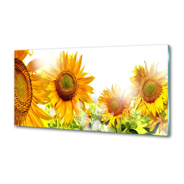 Spatscherm keuken Zonnebloemen