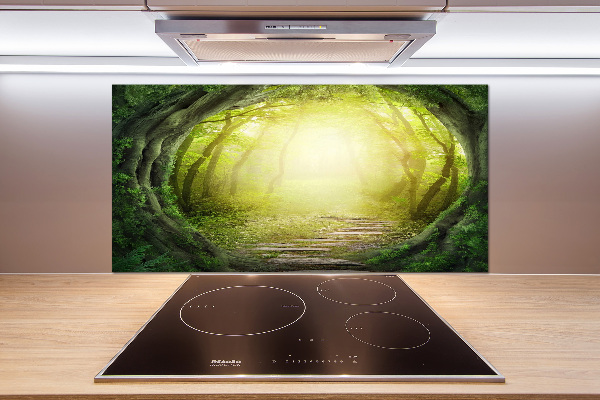 Spatplaat keuken Boomtunnel