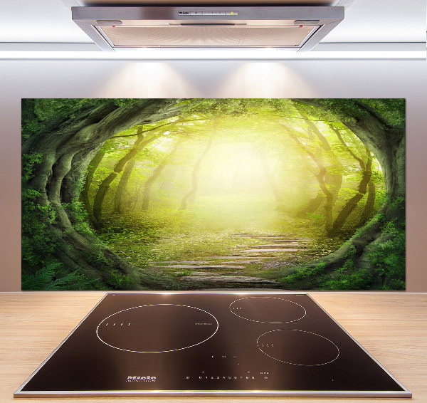 Spatplaat keuken Boomtunnel