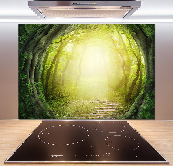 Spatplaat keuken Boomtunnel