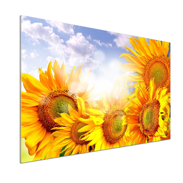 Keuken achterwand Zonnebloemen