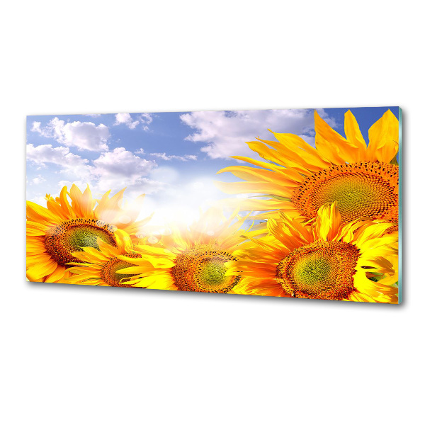 Keuken achterwand Zonnebloemen