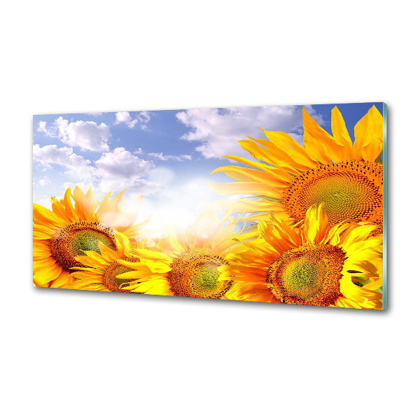 Keuken achterwand Zonnebloemen