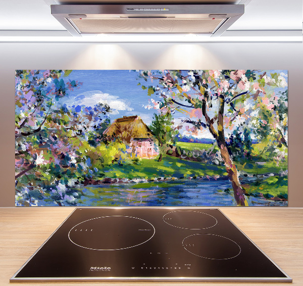 Spatplaat keuken Lentelandschap