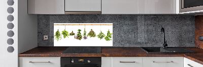 Achterwand keuken Kruiden aan een touwtje
