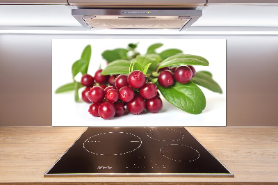 Spatscherm keuken Veenbes