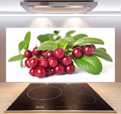 Spatscherm keuken Veenbes