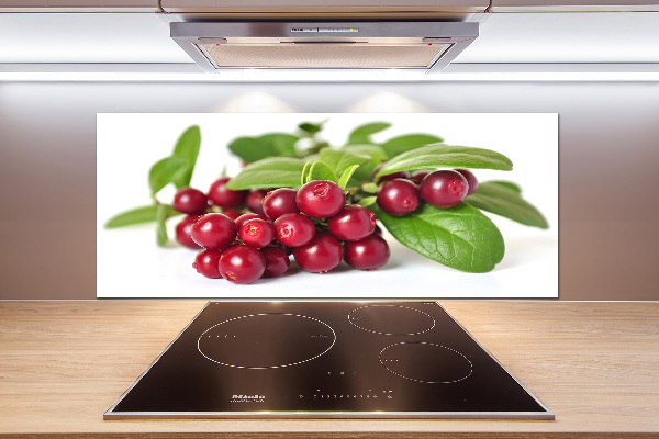 Spatscherm keuken Veenbes
