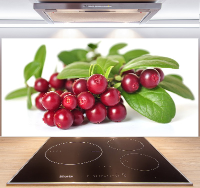 Spatscherm keuken Veenbes