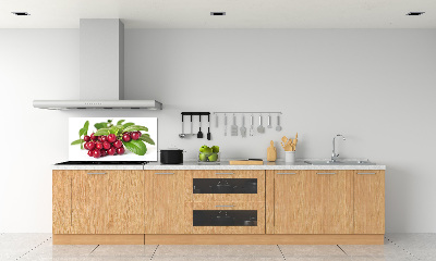 Spatscherm keuken Veenbes