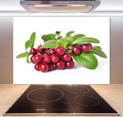 Spatscherm keuken Veenbes